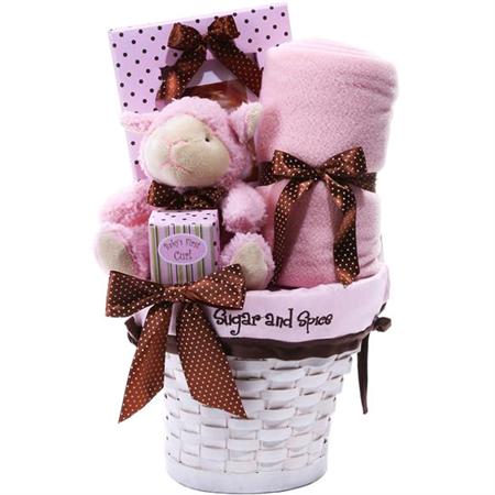 Cuddle Up Baby Girl Gift Basket - Gift Baskets for Delivery