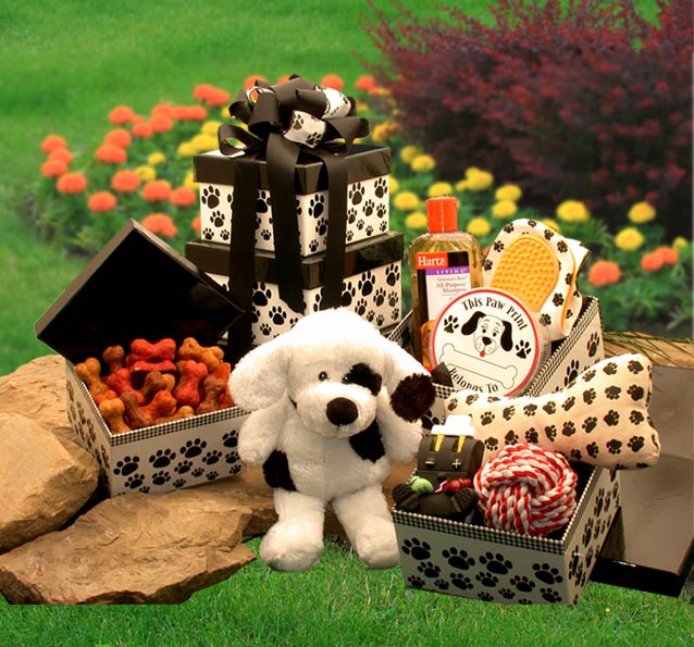 paw-prints-doggie-care-package-gift-baskets-for-delivery