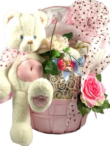  A Special Delivery New Baby Girl Gift Basket, New