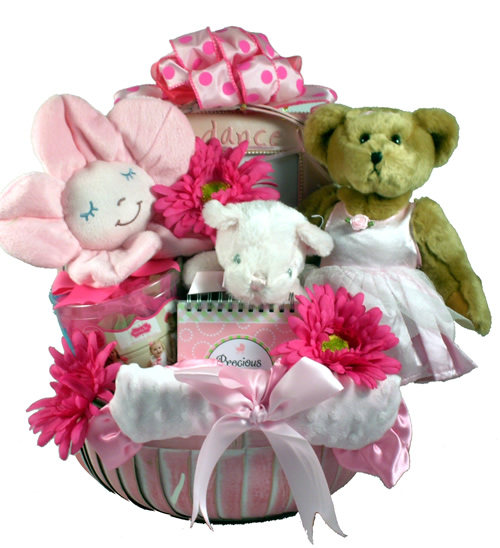  A Special Delivery New Baby Girl Gift Basket, New Baby Gift  for Girl, Baby Girl Gift. : Baby