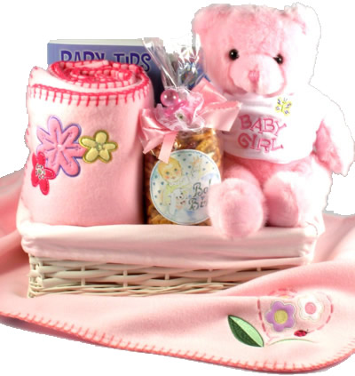 Welcome To The World Baby Girl Gift Basket