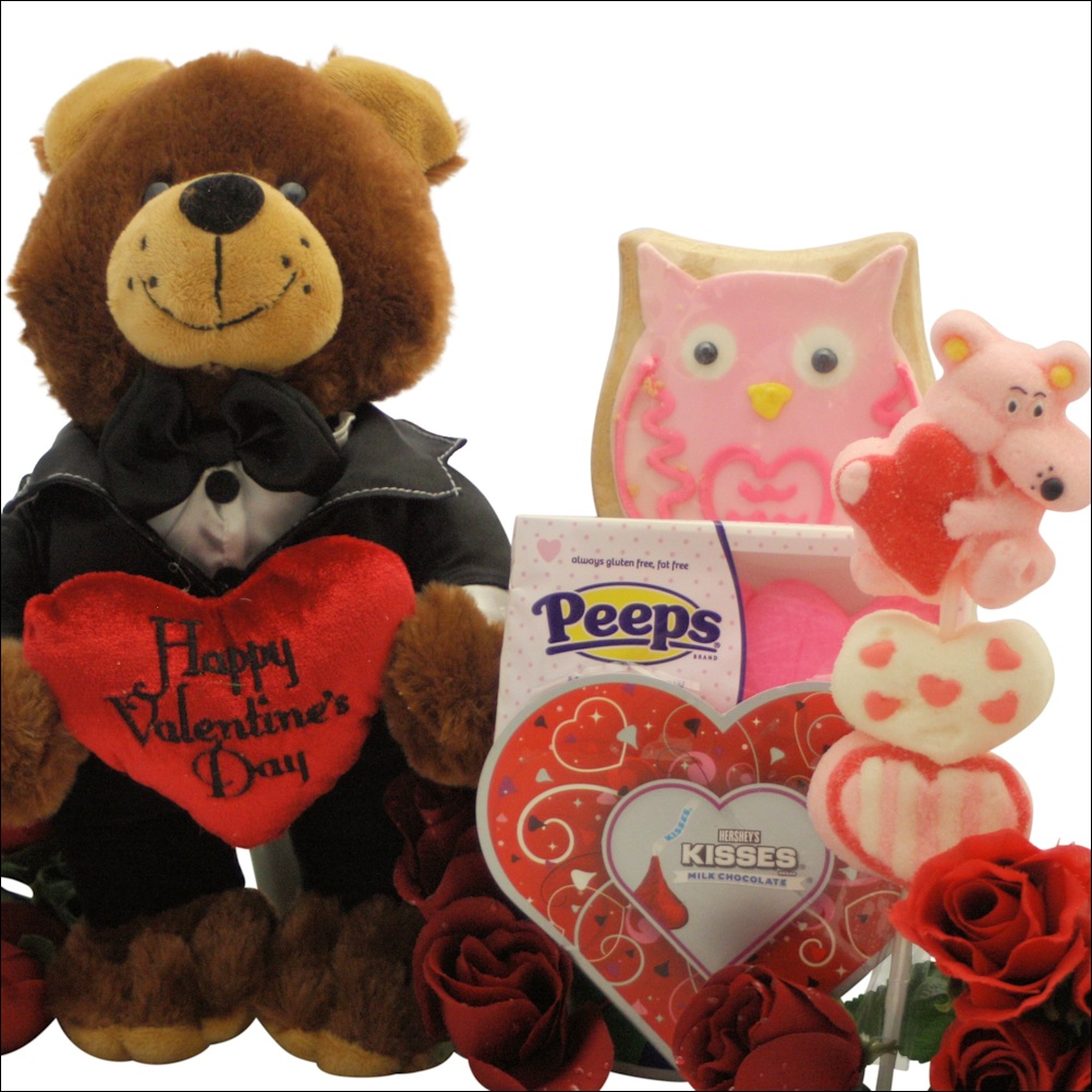 Happy Valentine's Day: Valentine's Day Gift for Kids ...