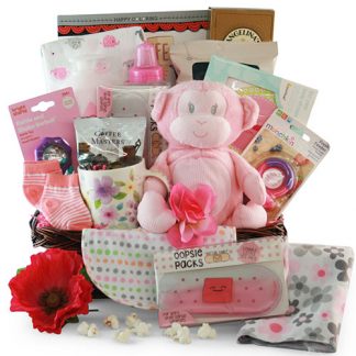  Baby Box Shop Baskets for Girls - 17 Newborn Baby Essentials  Gift Set for Baby Girl - New Baby Gift Basket, Welcome Baby Girl Gift  Basket, New Baby Girl Gift